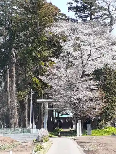 酒門神社の鳥居