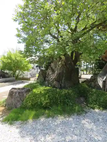 法源寺の庭園