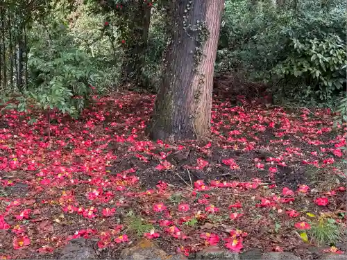 高麗神社(埼玉県)