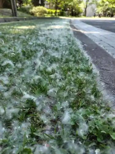 札幌護國神社の庭園