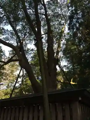 天岩戸神社(宮崎県)