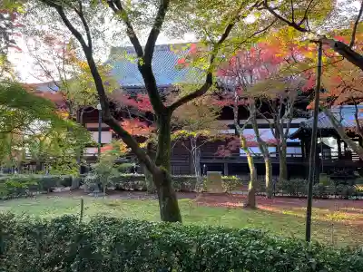 真正極楽寺(真如堂)(京都府)