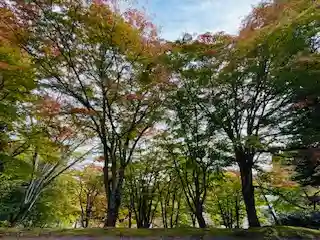 土津神社｜こどもと出世の神さま(福島県)
