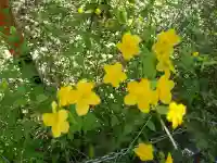 安井金比羅宮の{uncategorized: "未分類", other: "その他", undefined: "問題あり", building: "その他建物", grave: "お墓", sacred_gate: "鳥居", guardian: "狛犬", statue: "像", buddha: "仏像", history: "歴史", nature: "自然", garden: "庭園", animal: "動物", pagoda: "塔", temizu: "手水舎", mountain_gate: "山門・神門", sanctuary: "本殿・本堂", subordinate: "末社・摂社", art: "芸術", scenery: "景色", jizo: "地蔵", ema: "絵馬", goshuin: "御朱印", omikuji: "おみくじ", items: "授与品その他", amulet: "お守り", goshuincho: "御朱印帳", eats: "食事", festival: "お祭り", votive_dance: "神楽", shichigosan: "七五三参", wedding: "結婚式", experience: "体験その他", initially: "初詣", around: "周辺", anti_infection: "感染症対策"}