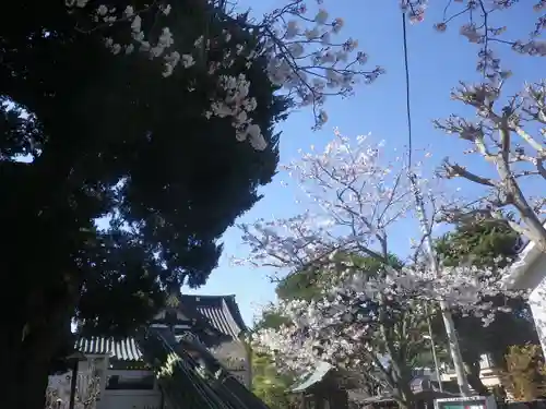 妙隆寺のその他建物