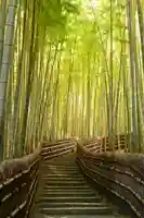 化野念仏寺(京都府)