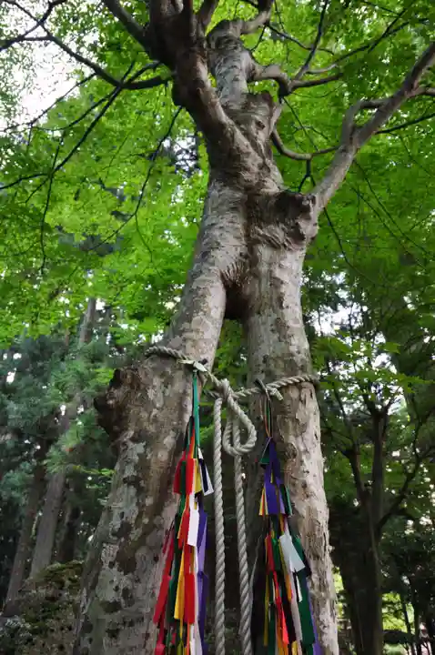 河口浅間神社(山梨県)