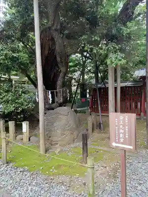 金王八幡宮(東京都)