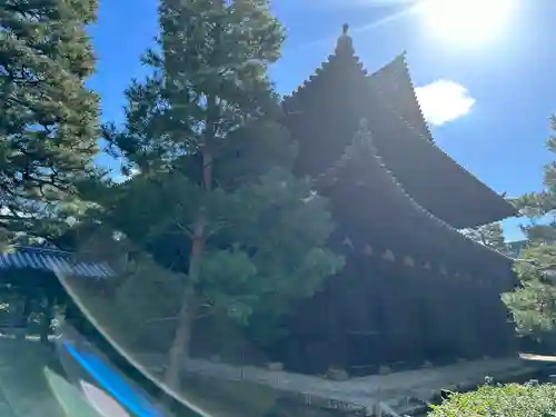 大徳寺(京都府)