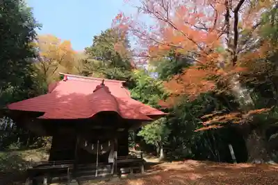 愛宕神社の本殿・本堂