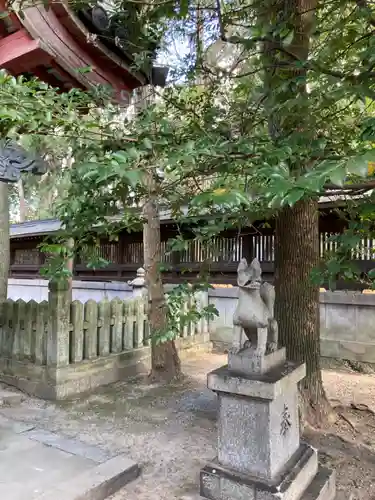 姫路神社の狛犬