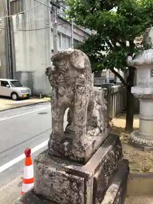 事代主神社の狛犬