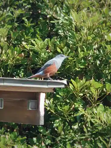 聖天神社（聖天上人像社）(神奈川県)