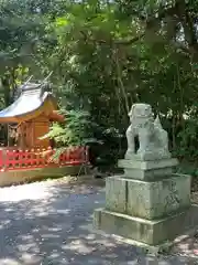 薦神社の狛犬