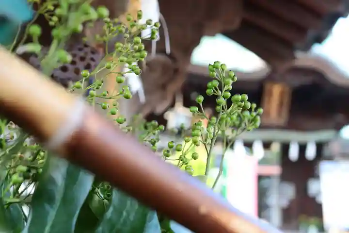 三津厳島神社(愛媛県)