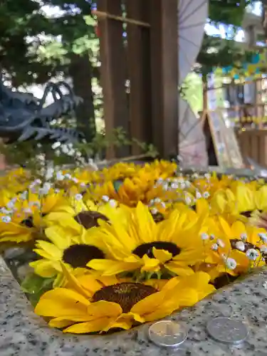 札幌諏訪神社の手水