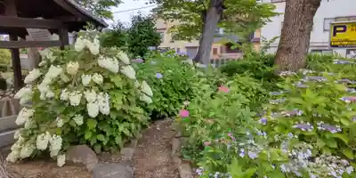 津嶋部神社(大阪府)