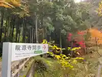 羅漢寺(島根県)
