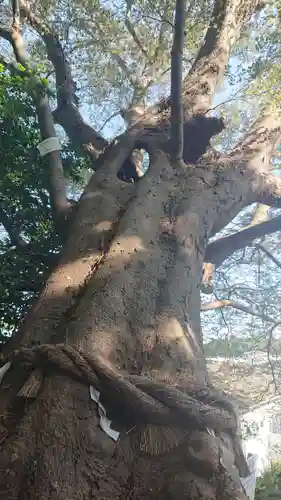 常陸第三宮　吉田神社(茨城県)