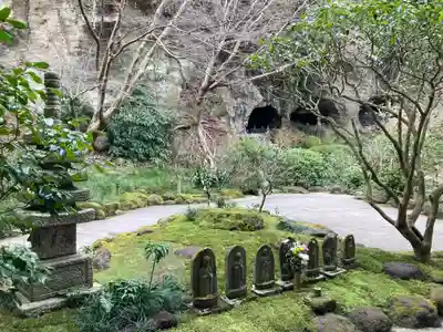 報国寺(神奈川県)