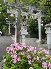 多摩川浅間神社(東京都)