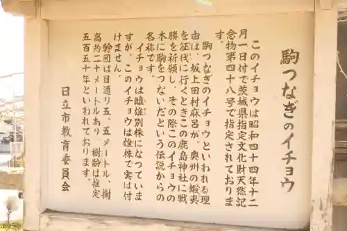 鹿嶋神社の{uncategorized: "未分類", other: "その他", undefined: "問題あり", building: "その他建物", grave: "お墓", sacred_gate: "鳥居", guardian: "狛犬", statue: "像", buddha: "仏像", history: "歴史", nature: "自然", garden: "庭園", animal: "動物", pagoda: "塔", temizu: "手水舎", mountain_gate: "山門・神門", sanctuary: "本殿・本堂", subordinate: "末社・摂社", art: "芸術", scenery: "景色", jizo: "地蔵", ema: "絵馬", goshuin: "御朱印", omikuji: "おみくじ", items: "授与品その他", amulet: "お守り", goshuincho: "御朱印帳", eats: "食事", festival: "お祭り", votive_dance: "神楽", shichigosan: "七五三参", wedding: "結婚式", experience: "体験その他", initially: "初詣", around: "周辺", anti_infection: "感染症対策"}