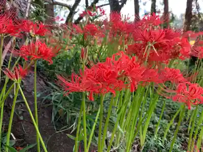 熊野神社の庭園