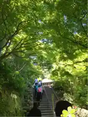 長谷寺の建物その他