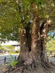 法隆寺(奈良県)