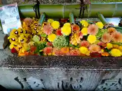 八坂神社(祇園さん)の手水