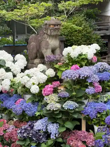 白山神社(東京都)