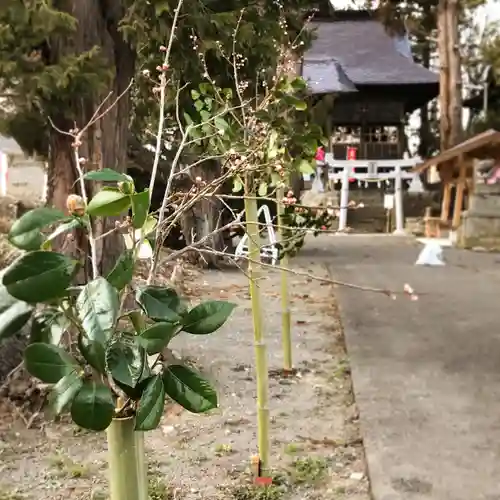 高司神社〜むすびの神の鎮まる社〜の自然