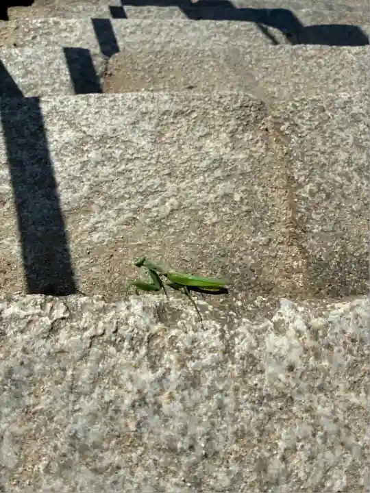 筑波山神社(茨城県)