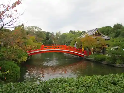 神泉苑の庭園