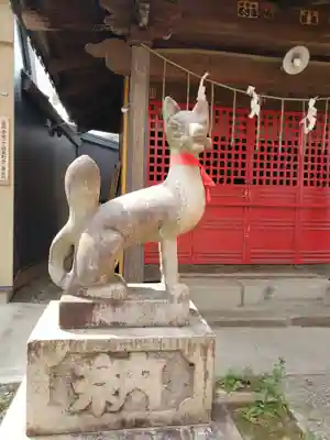 田中稲荷神社の狛犬