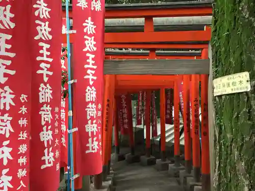 乃木神社の鳥居
