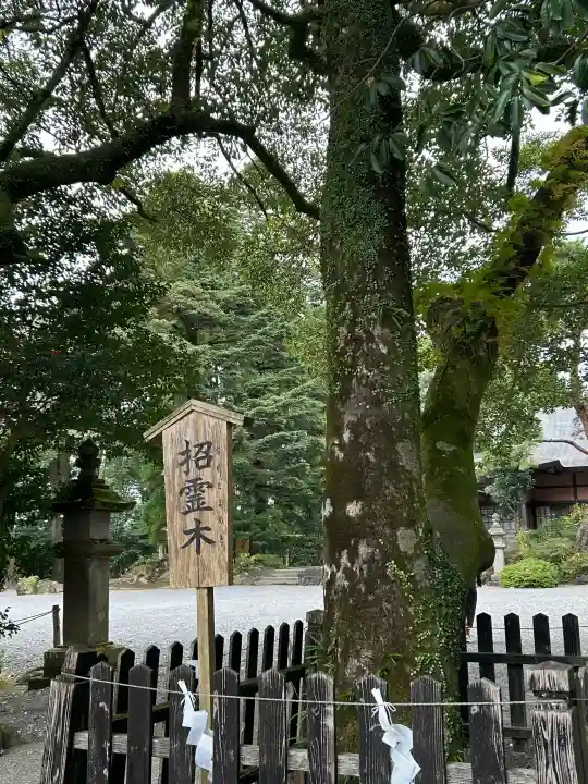 霧島神宮の{uncategorized: "未分類", other: "その他", undefined: "問題あり", building: "その他建物", grave: "お墓", sacred_gate: "鳥居", guardian: "狛犬", statue: "像", buddha: "仏像", history: "歴史", nature: "自然", garden: "庭園", animal: "動物", pagoda: "塔", temizu: "手水舎", mountain_gate: "山門・神門", sanctuary: "本殿・本堂", subordinate: "末社・摂社", art: "芸術", scenery: "景色", jizo: "地蔵", ema: "絵馬", goshuin: "御朱印", omikuji: "おみくじ", items: "授与品その他", amulet: "お守り", goshuincho: "御朱印帳", eats: "食事", festival: "お祭り", votive_dance: "神楽", shichigosan: "七五三参", wedding: "結婚式", experience: "体験その他", initially: "初詣", around: "周辺", anti_infection: "感染症対策"}