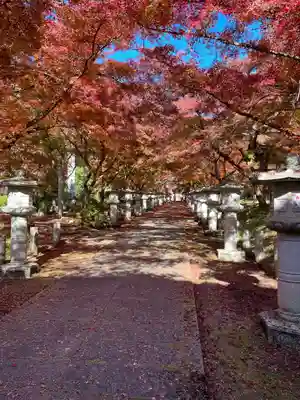 高山寺(兵庫県)