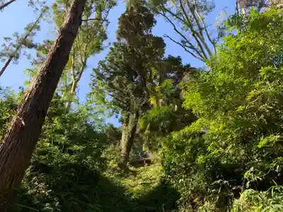 熊野神社の景色