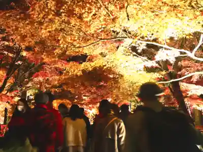 禅林寺(永観堂)(京都府)