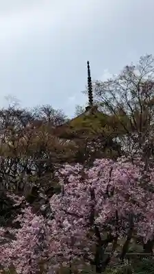 真正極楽寺(真如堂)(京都府)