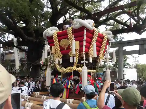百舌鳥八幡宮のお祭り