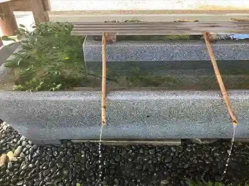 射水神社の手水