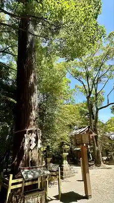 石上神宮(奈良県)