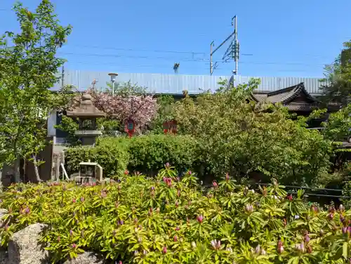 六孫王神社(京都府)