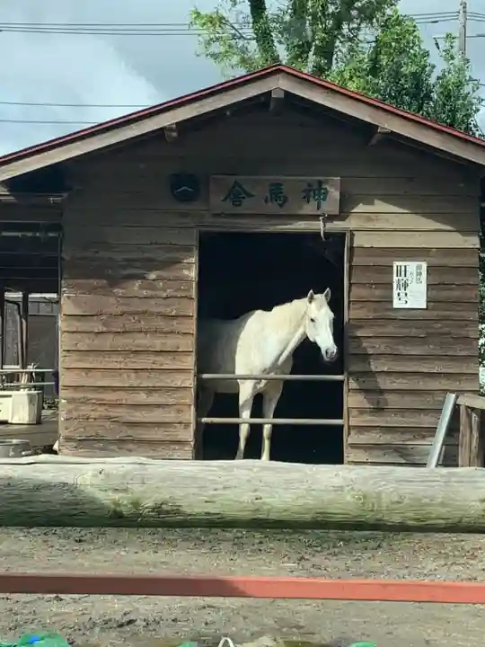 小室浅間神社の動物