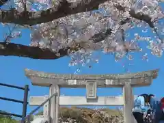 光雲神社の鳥居