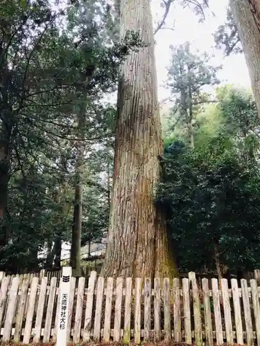 天鷹神社(岐阜県)
