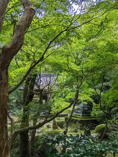 勝持寺（花の寺）(京都府)