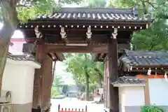 妙国寺の山門